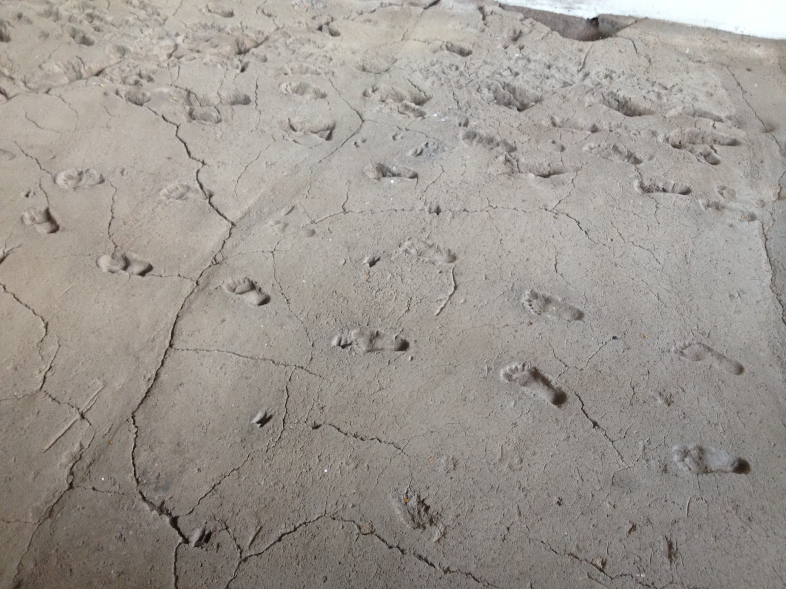 Talk Ancient footprints of Acahualinca